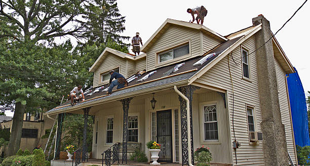 Roof Gutter Cleaning in Olivette, MO